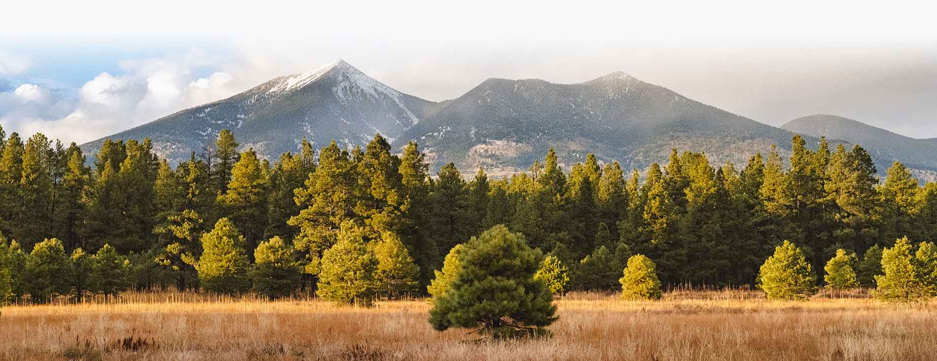 Flagstaff Arizona landscape